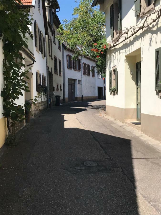 Ferienwohnung Eulenhof นอยชตัดท์ อัน แดร์ ไวน์ชตราเซอ ภายนอก รูปภาพ